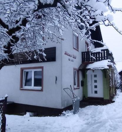 Appartement Haus Elli à Greifenburg Extérieur photo