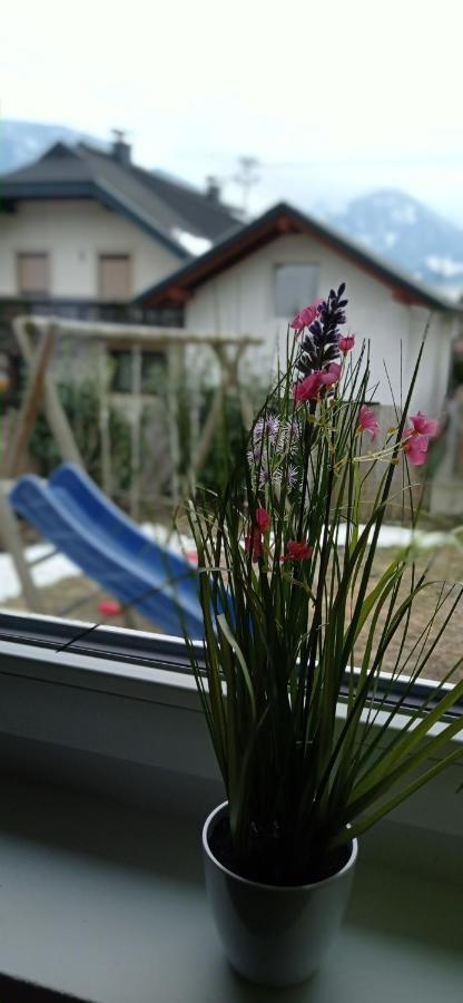 Appartement Haus Elli à Greifenburg Extérieur photo