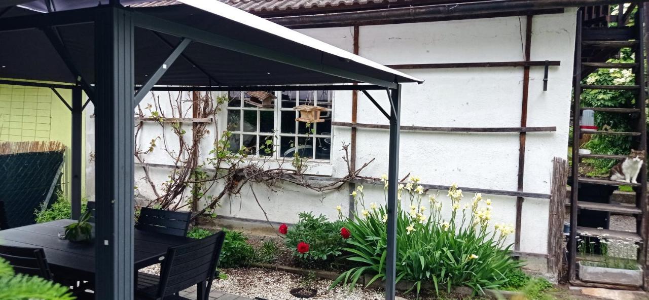 Appartement Haus Elli à Greifenburg Extérieur photo